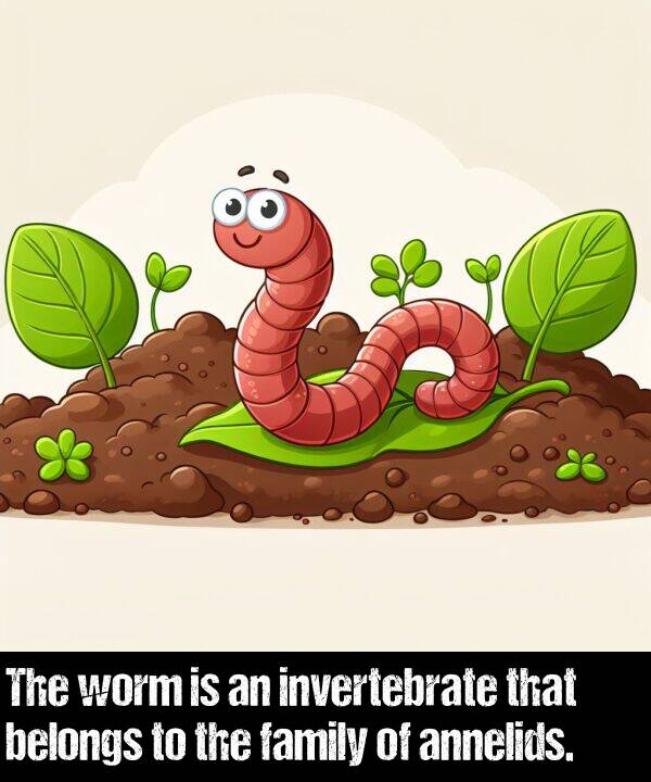 family: The worm is an invertebrate that belongs to the family of annelids.