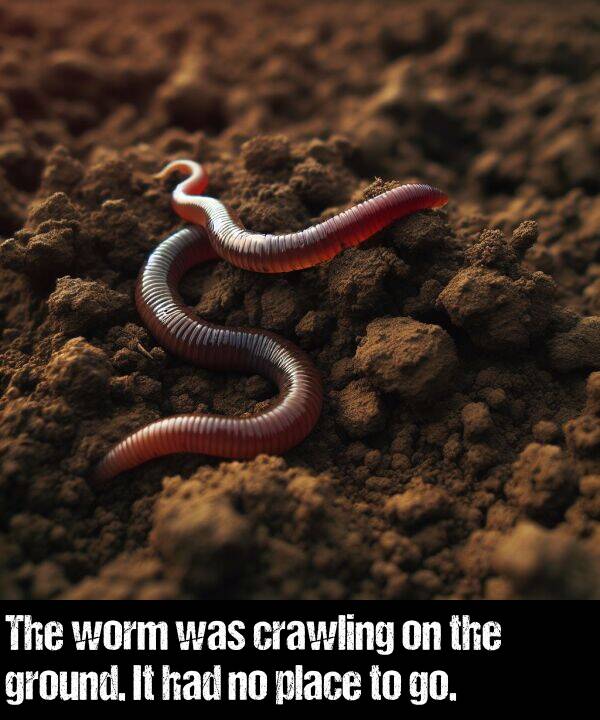 worm: The worm was crawling on the ground. It had no place to go.