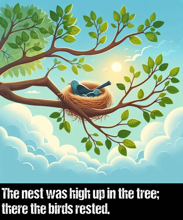 birds: The nest was high up in the tree; there the birds rested.