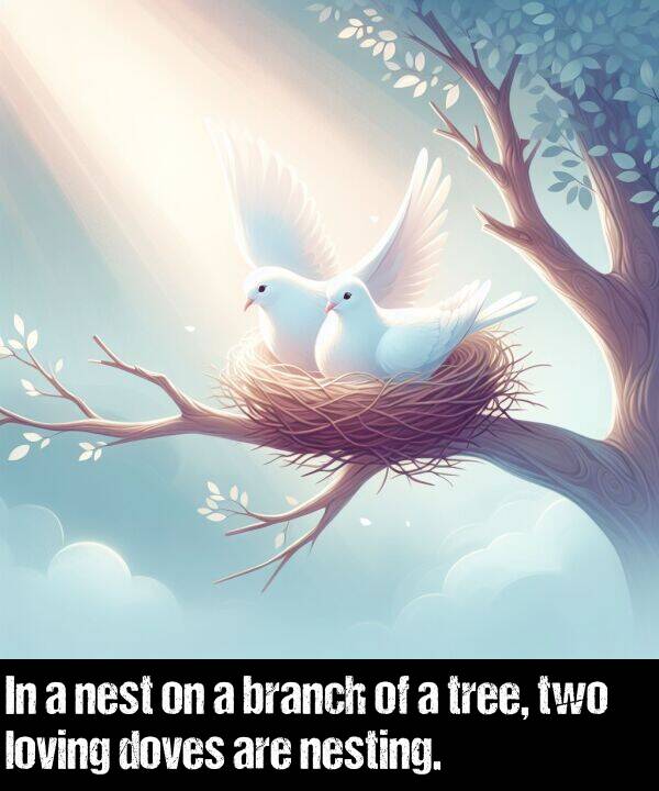 branch: In a nest on a branch of a tree, two loving doves are nesting.