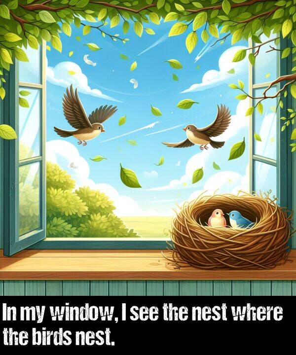 birds: In my window, I see the nest where the birds nest.