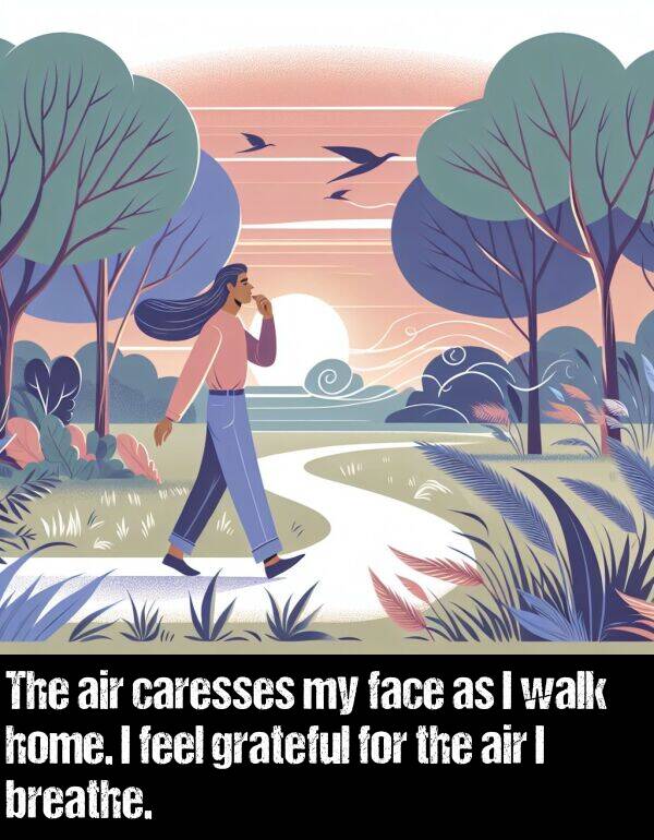 face: The air caresses my face as I walk home. I feel grateful for the air I breathe.