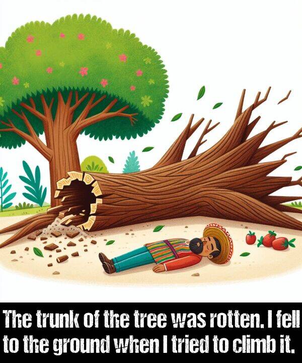 ground: The trunk of the tree was rotten. I fell to the ground when I tried to climb it.