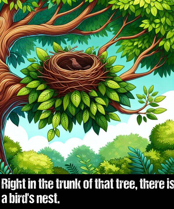 tree: Right in the trunk of that tree, there is a bird's nest.