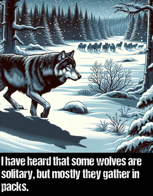 gather: I have heard that some wolves are solitary, but mostly they gather in packs.