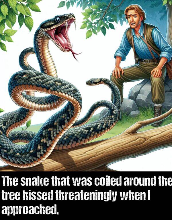 tree: The snake that was coiled around the tree hissed threateningly when I approached.