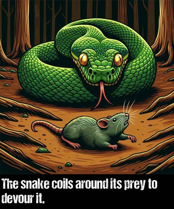 around: The snake coils around its prey to devour it.