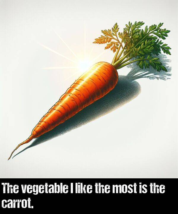 carrot: The vegetable I like the most is the carrot.