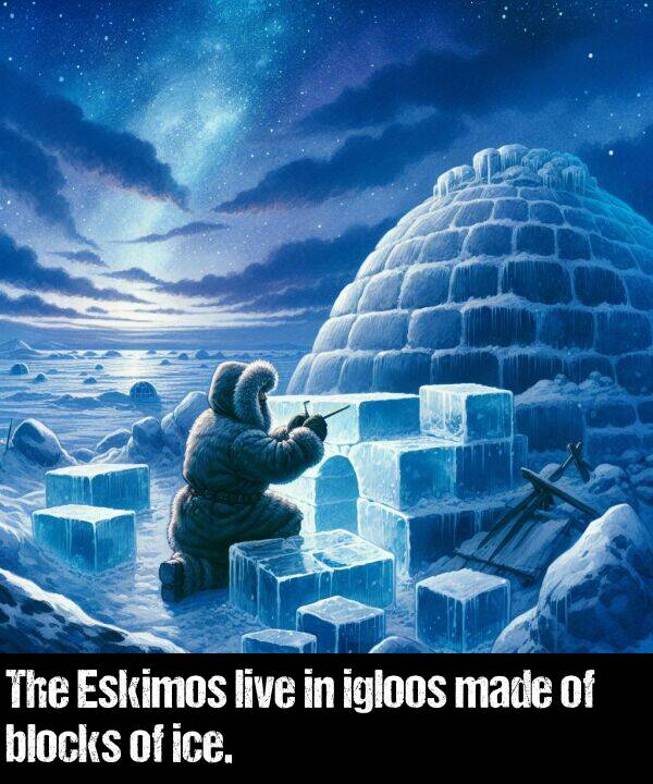 live: The Eskimos live in igloos made of blocks of ice.