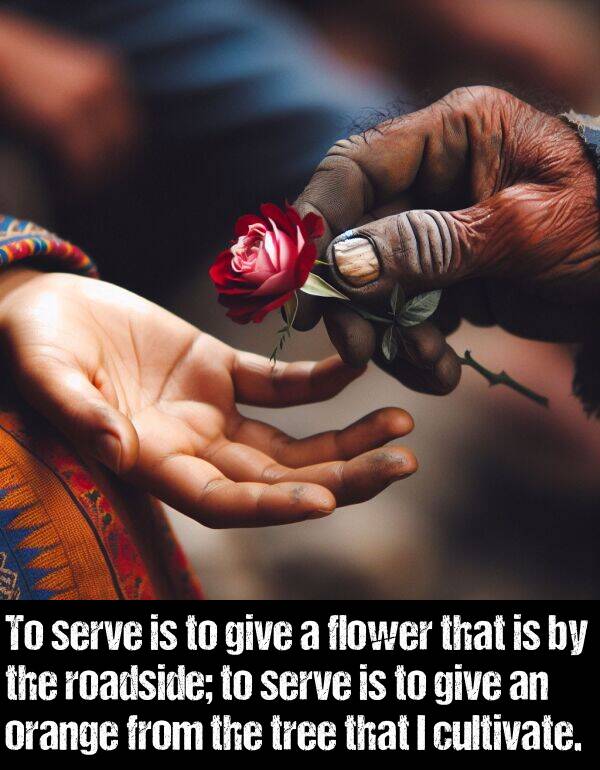 give: To serve is to give a flower that is by the roadside; to serve is to give an orange from the tree that I cultivate.