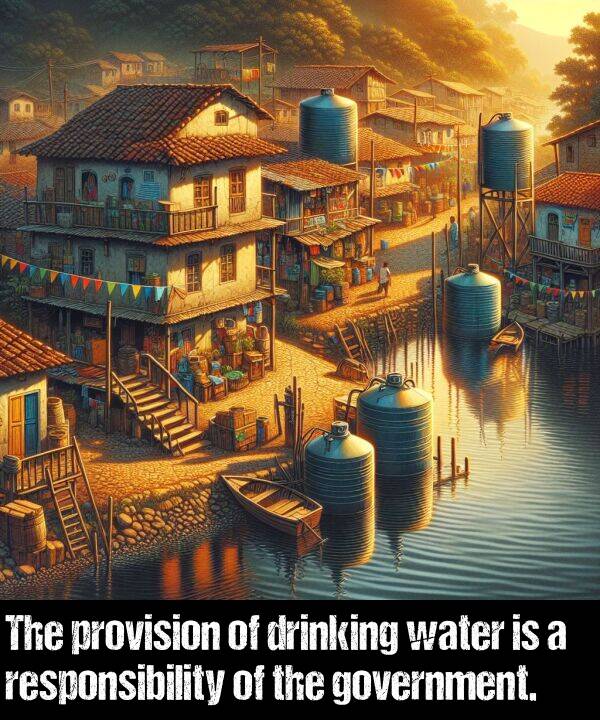 government: The provision of drinking water is a responsibility of the government.