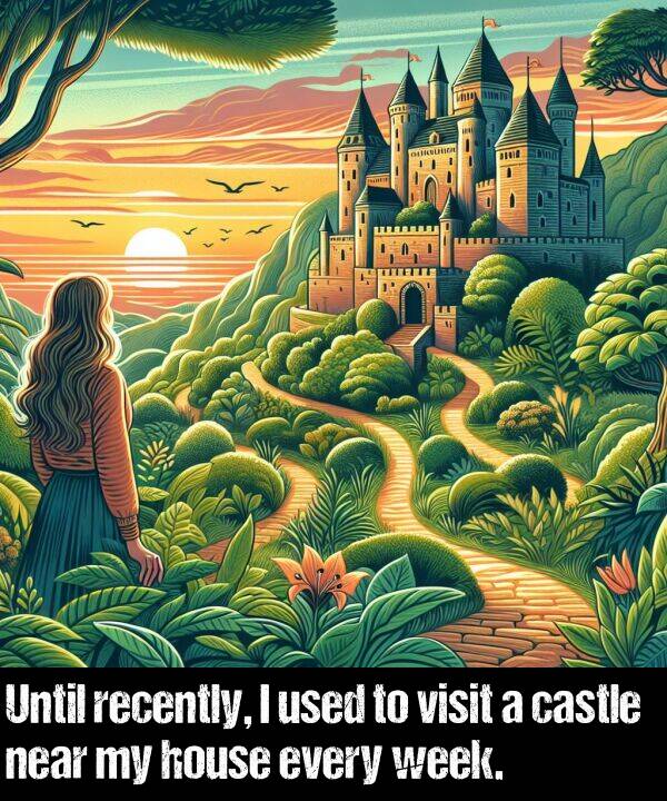 every: Until recently, I used to visit a castle near my house every week.