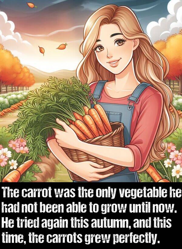 carrots: The carrot was the only vegetable he had not been able to grow until now. He tried again this autumn, and this time, the carrots grew perfectly.