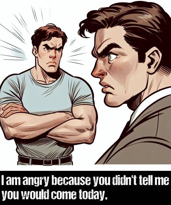 would: I am angry because you didn't tell me you would come today.