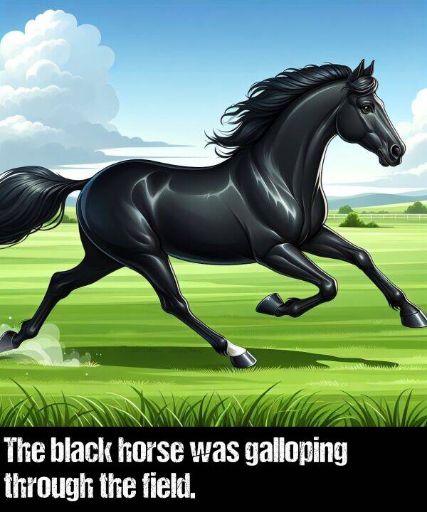 galloping: The black horse was galloping through the field.