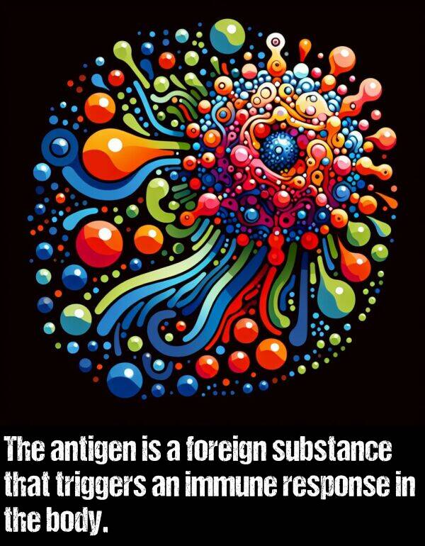 immune: The antigen is a foreign substance that triggers an immune response in the body.