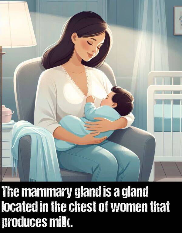 women: The mammary gland is a gland located in the chest of women that produces milk.