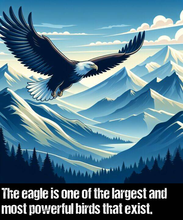 birds: The eagle is one of the largest and most powerful birds that exist.