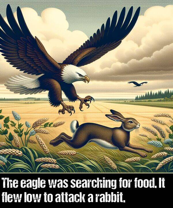 low: The eagle was searching for food. It flew low to attack a rabbit.