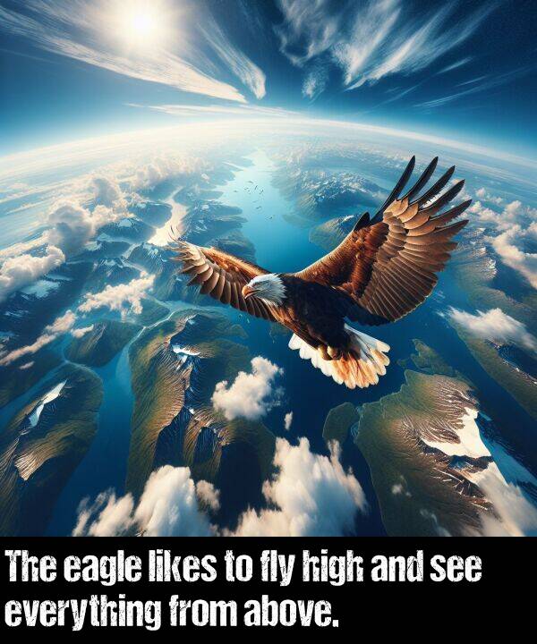 everything: The eagle likes to fly high and see everything from above.