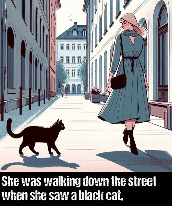 she: She was walking down the street when she saw a black cat.