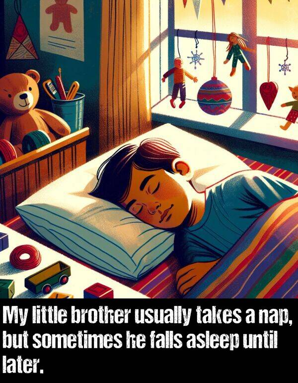 brother: My little brother usually takes a nap, but sometimes he falls asleep until later.