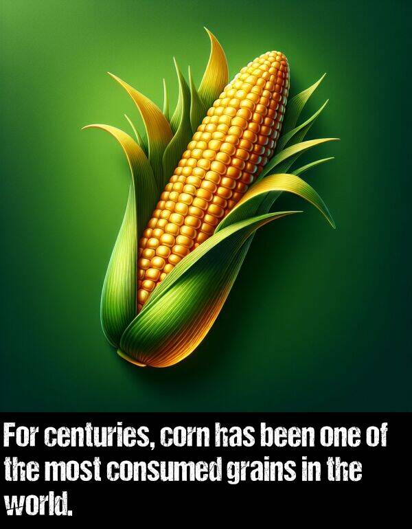 world: For centuries, corn has been one of the most consumed grains in the world.