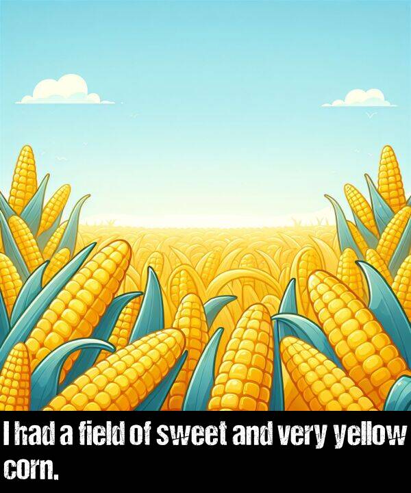 and: I had a field of sweet and very yellow corn.