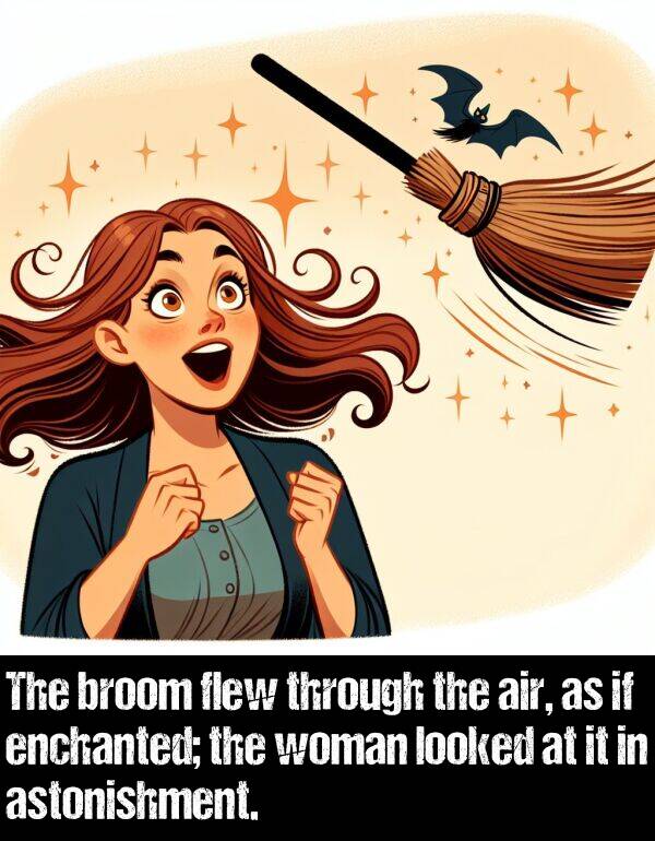 woman: The broom flew through the air, as if enchanted; the woman looked at it in astonishment.