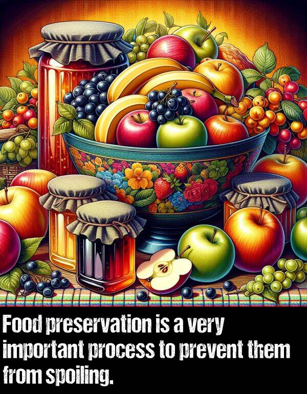 preservation: Food preservation is a very important process to prevent them from spoiling.