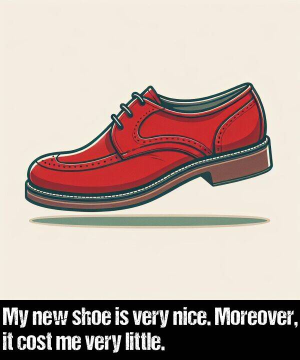 new: My new shoe is very nice. Moreover, it cost me very little.