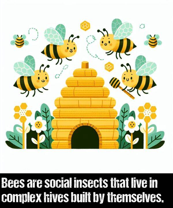 live: Bees are social insects that live in complex hives built by themselves.