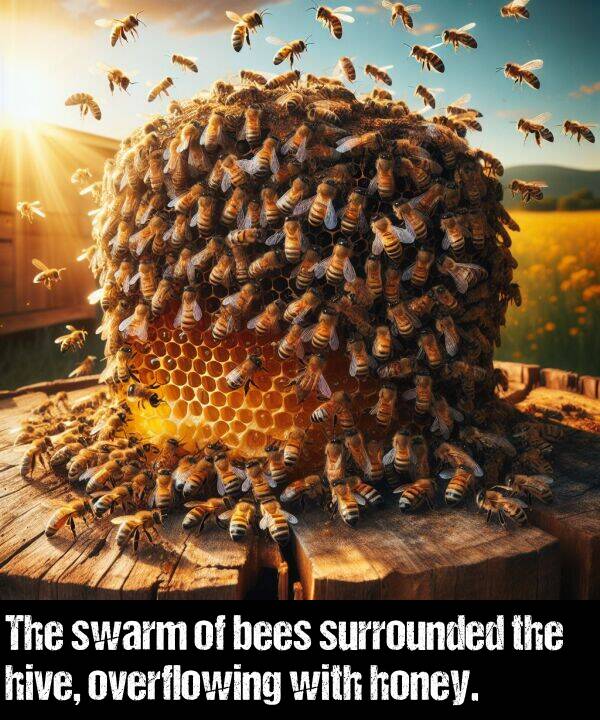 hive: The swarm of bees surrounded the hive, overflowing with honey.