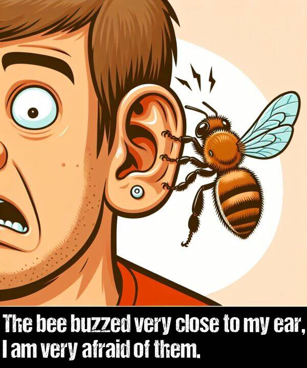 bee: The bee buzzed very close to my ear, I am very afraid of them.