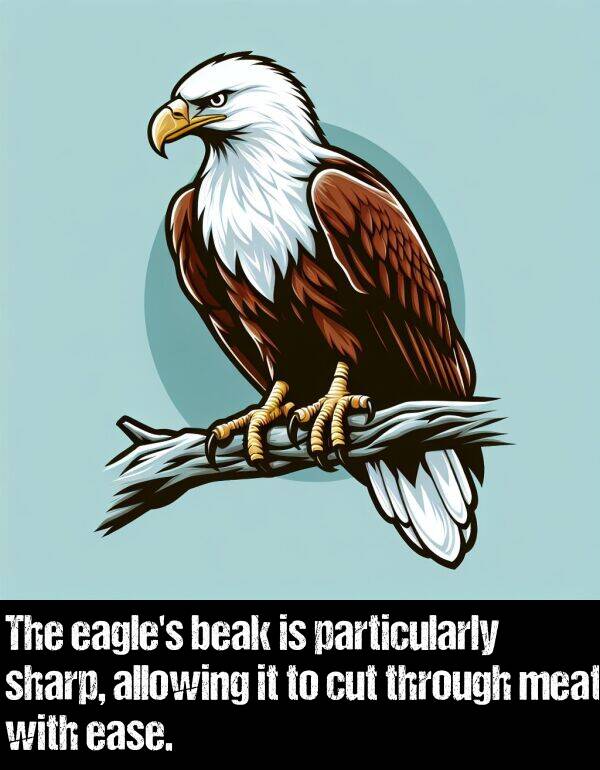 sharp: The eagle's beak is particularly sharp, allowing it to cut through meat with ease.