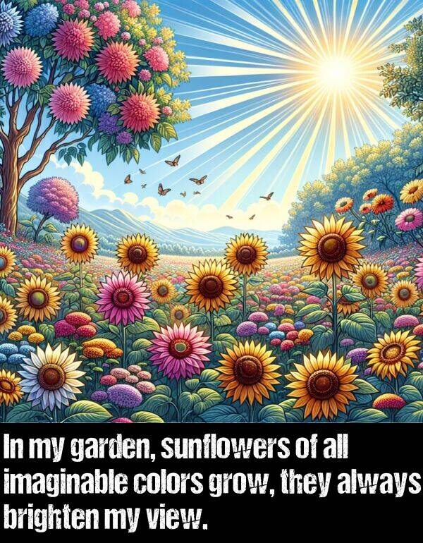 imaginable: In my garden, sunflowers of all imaginable colors grow, they always brighten my view.