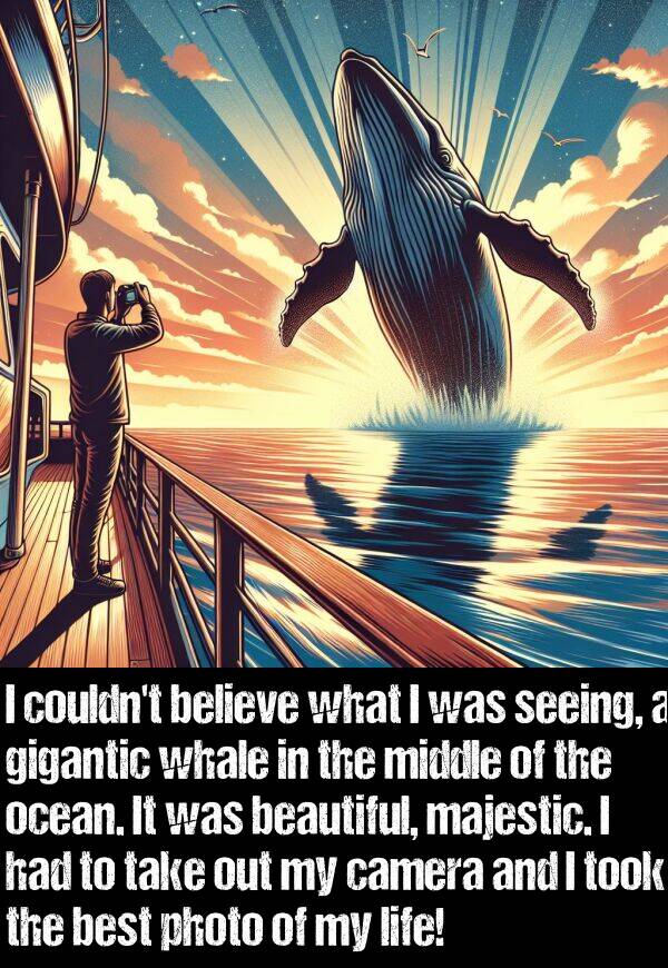 ocean: I couldn't believe what I was seeing, a gigantic whale in the middle of the ocean. It was beautiful, majestic. I had to take out my camera and I took the best photo of my life!