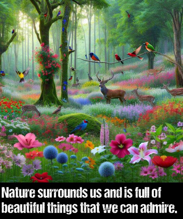 things: Nature surrounds us and is full of beautiful things that we can admire.