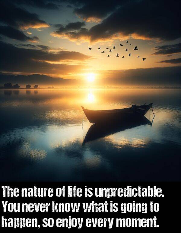 nature: The nature of life is unpredictable. You never know what is going to happen, so enjoy every moment.