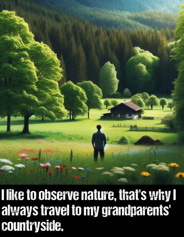 nature: I like to observe nature, that's why I always travel to my grandparents' countryside.