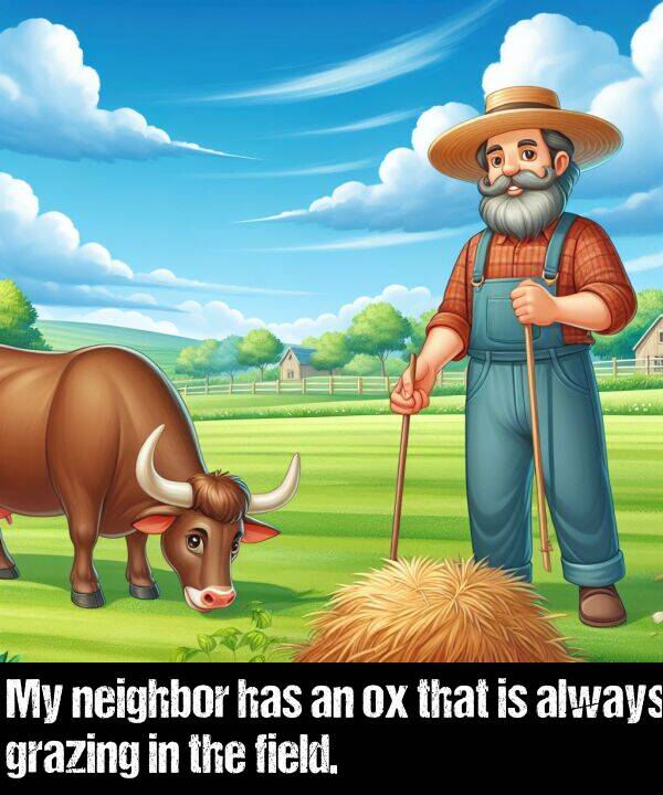 neighbor: My neighbor has an ox that is always grazing in the field.