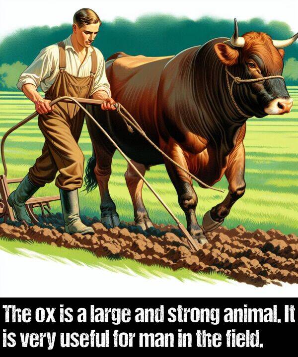 large: The ox is a large and strong animal. It is very useful for man in the field.