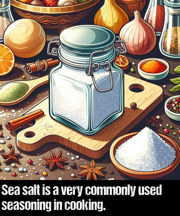 salt: Sea salt is a very commonly used seasoning in cooking.