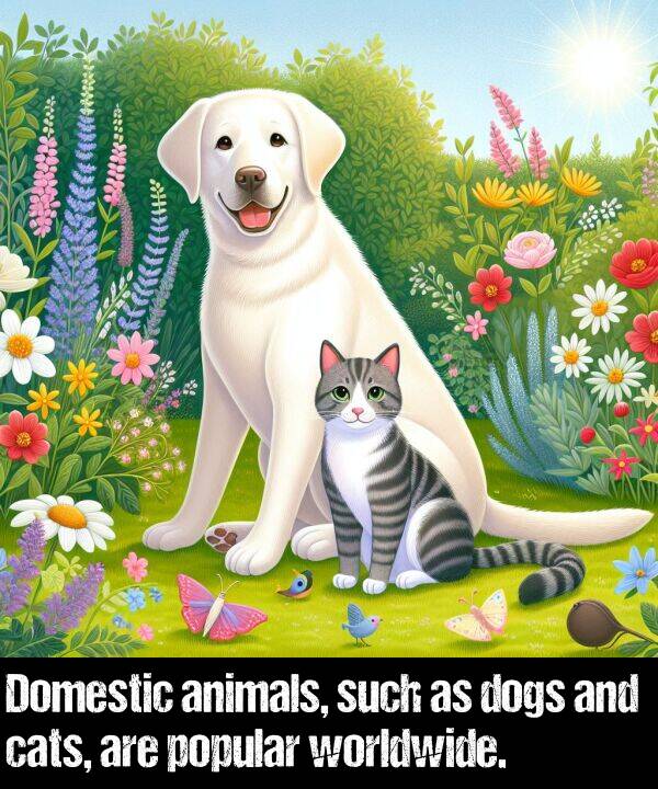 such: Domestic animals, such as dogs and cats, are popular worldwide.