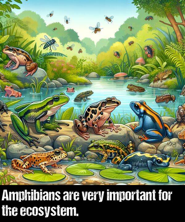 important: Amphibians are very important for the ecosystem.