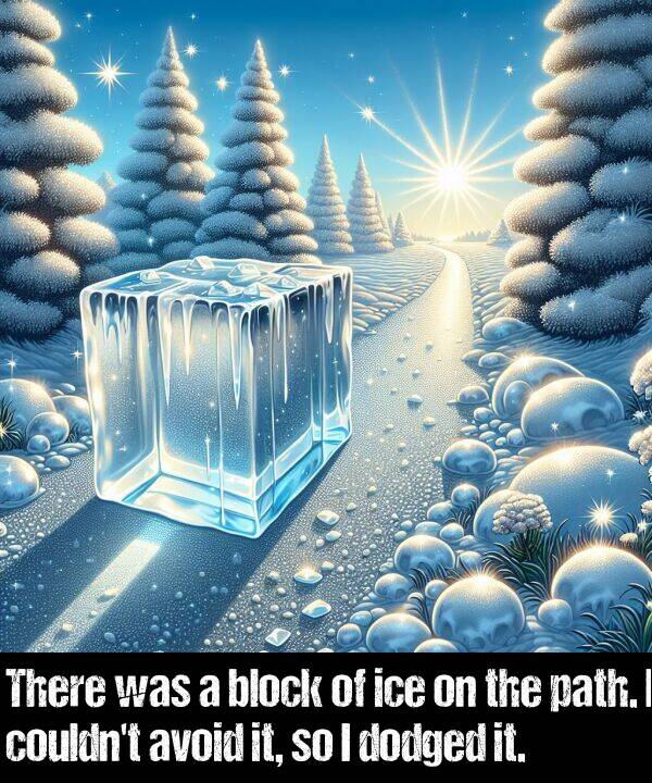 block: There was a block of ice on the path. I couldn't avoid it, so I dodged it.