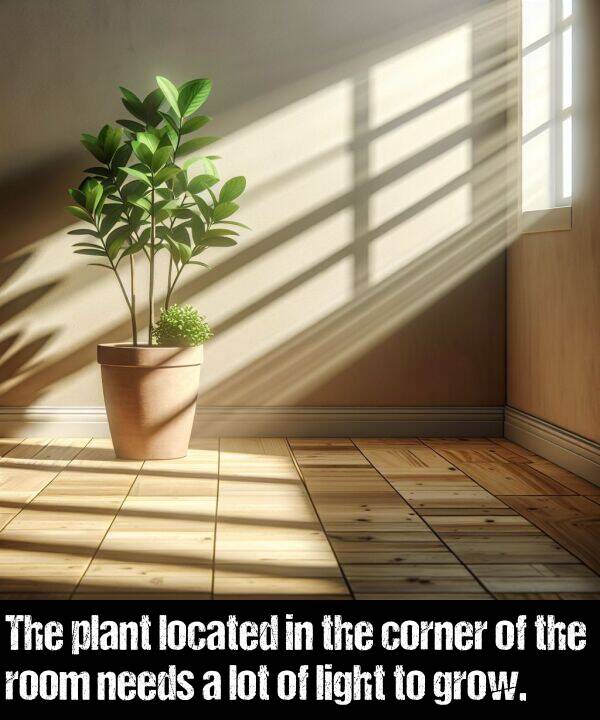 located: The plant located in the corner of the room needs a lot of light to grow.