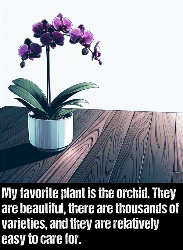 varieties: My favorite plant is the orchid. They are beautiful, there are thousands of varieties, and they are relatively easy to care for.