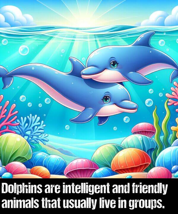 intelligent: Dolphins are intelligent and friendly animals that usually live in groups.