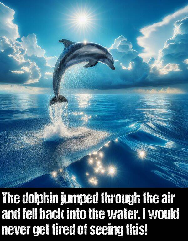 get: The dolphin jumped through the air and fell back into the water. I would never get tired of seeing this!